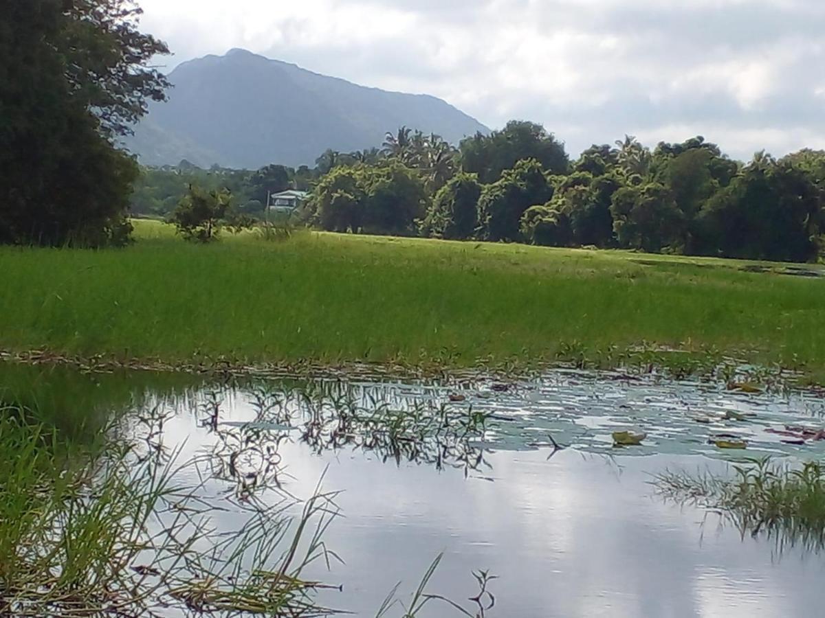 Lake Edge Дамбулла Экстерьер фото