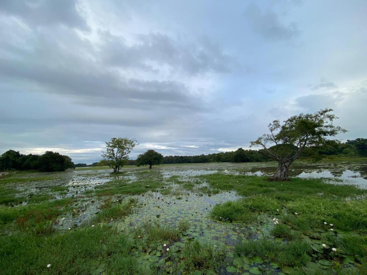 Lake Edge Дамбулла Экстерьер фото